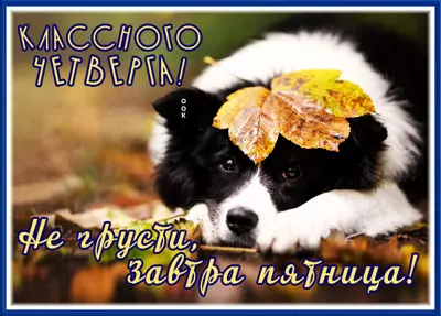 Picture милая открытка с четвергом