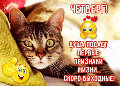 Postcard милая открытка с четвергом