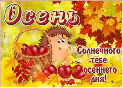 Postcard милая открытка с осенью