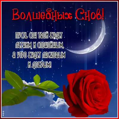 Postcard милая открытка  волшебных снов