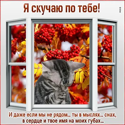Picture милая открытка я скучаю по тебе