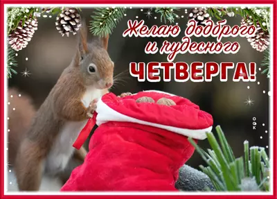 Postcard милая открытка желаю доброго и чудесного четверга