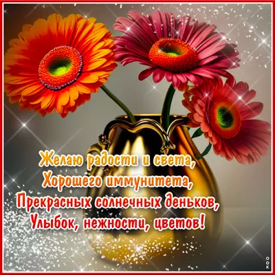 Postcard милая открытка желаю радости и света