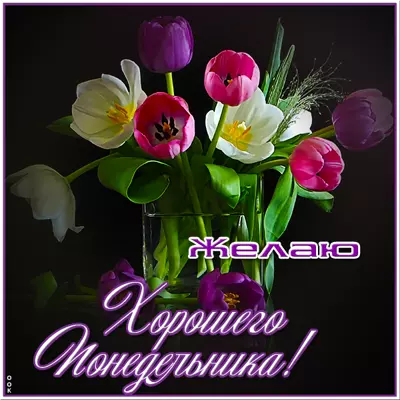 Postcard милая открытка желаю хорошего понедельника