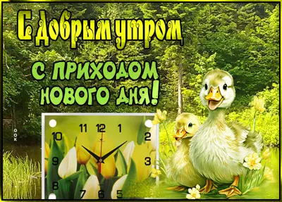 Picture мотивирующая открытка доброе утро