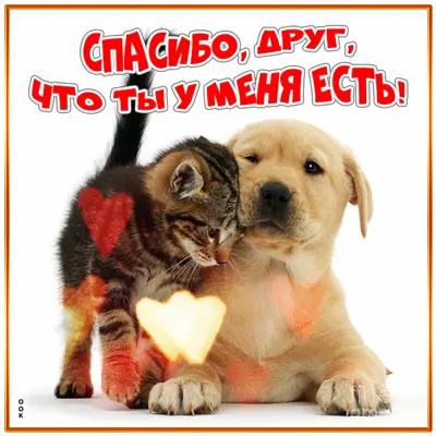 Picture нежная открытка  спасибо друг