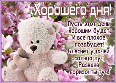Picture нежная открытка хорошего дня
