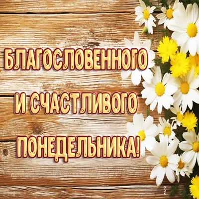 Picture новая картинка счастливого понедельника