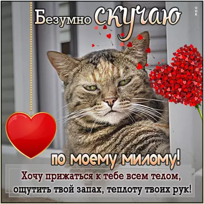 Picture очаровательная картинка безумно скучаю
