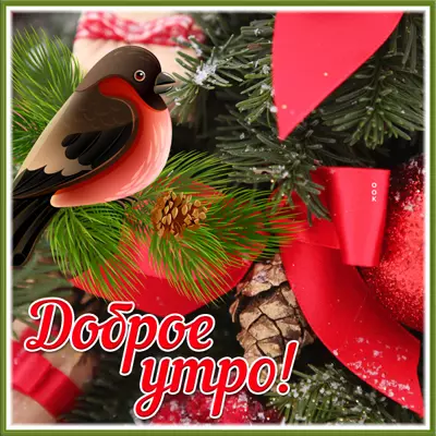 Postcard очаровательная картинка доброе утро