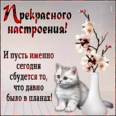 Picture очаровательная картинка прекрасного настроения