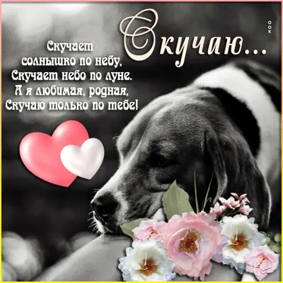 Picture очаровательная картинка скучаю