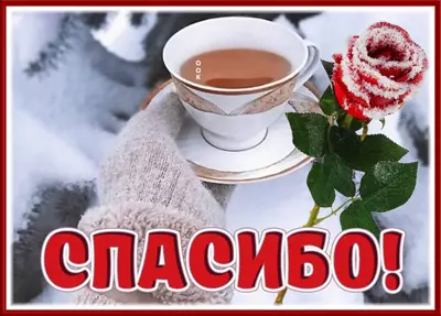 Picture очаровательная картинка спасибо