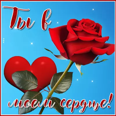 Postcard очаровательная картинка ты в моем сердце