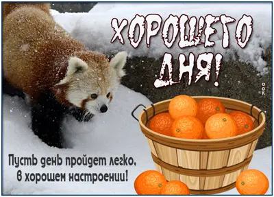 Picture очаровательная картинка хорошего дня