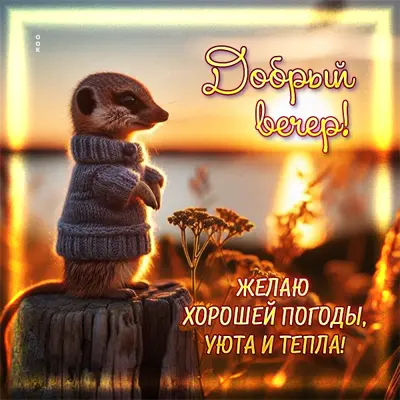 Postcard очаровательная картинка желаю хорошей погоды, уюта и тепла