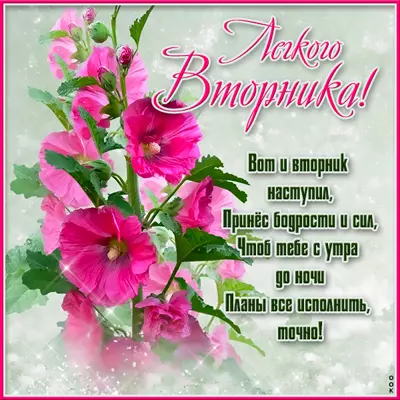 Picture очаровательная открытка легкого вторника