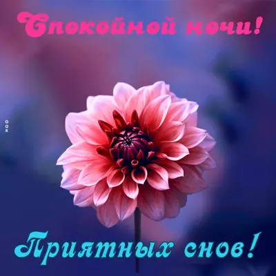Picture очаровательная открытка приятных снов