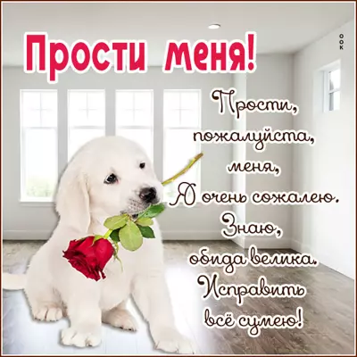 Picture очаровательная открытка прости меня пожалуйста