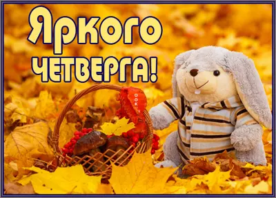 Picture осенняя открытка с четвергом