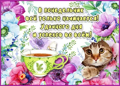 Postcard откртыка милого понедельника