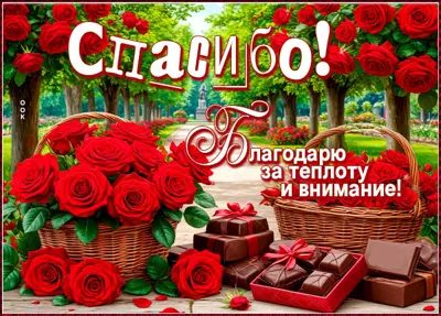 Picture открытка благодарю за теплоту и внимание