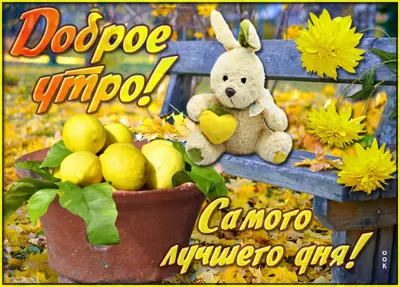 Postcard открытка доброе утро витаминки для тебя
