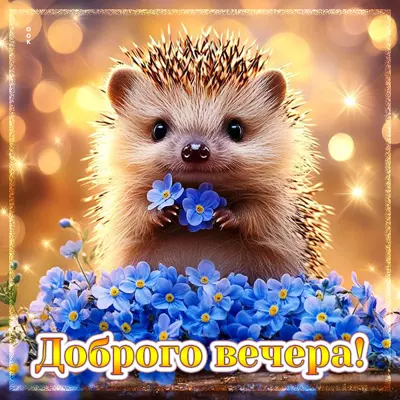 Postcard открытка доброго вечера, пусть он будет ярким