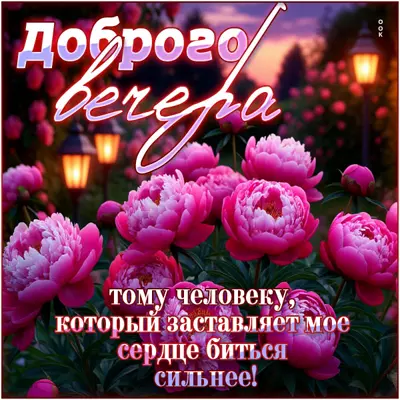 Postcard открытка доброго вечера тому, кто заставляет мое сердце биться сильнее