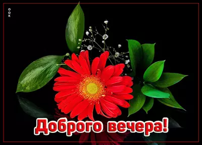 Picture открытка добрый вечер, дорогая