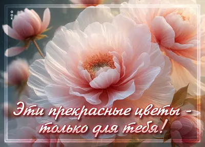 Postcard открытка эти прекрасные цветы - только для тебя