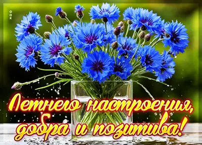 Picture открытка летнего настроения и позитива