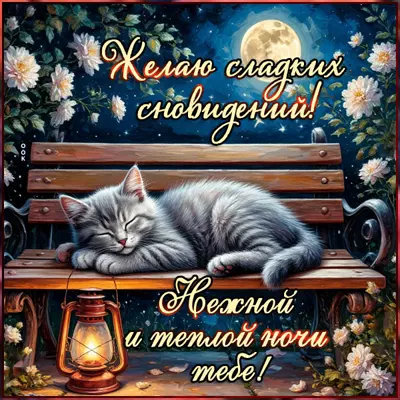 Postcard открытка нежной и теплой ночи тебе