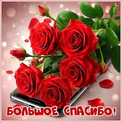 Picture открытка огромное тебе спасибо