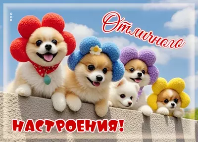 Postcard открытка отличного настроения