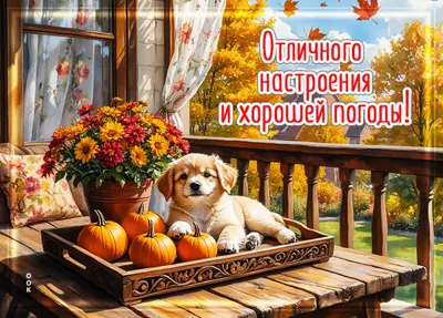 Picture открытка отличного настроения и хорошей погоды