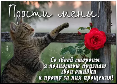 Picture открытка прими мои извинения за все ошибки
