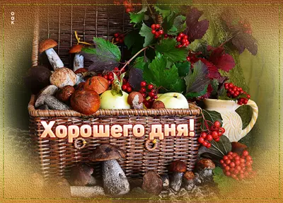 Postcard открытка приятного дня и хорошей погоды