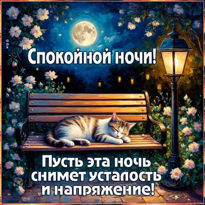 Postcard открытка пусть эта ночь снимет усталось и напряжение