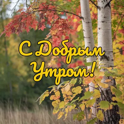 Picture открытка с ароматом утра