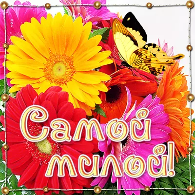 Postcard открытка с цветами для вдохновения