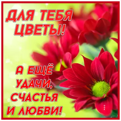 Picture открытка с яркими цветами