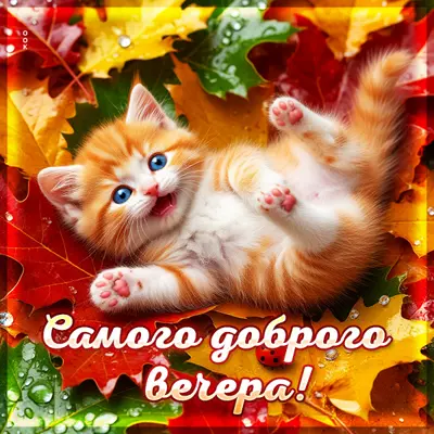 Picture открытка самого доброго вечера