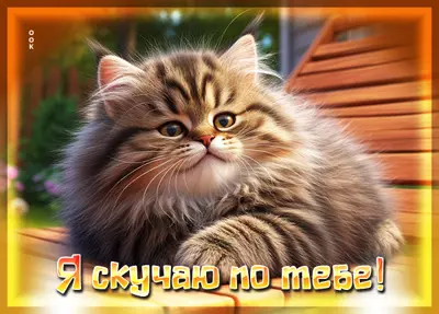 Picture открытка сильно скучаю по тебе