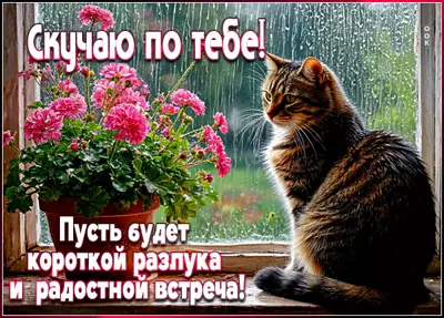 Picture открытка скучаю сильно по тебе