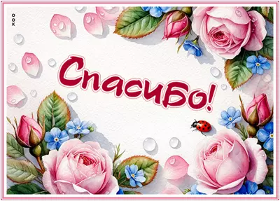 Postcard открытка спасибо за все тебе большое