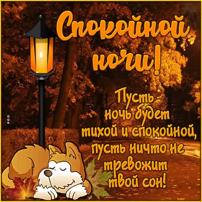 Postcard открытка спокойной ночи с осенью