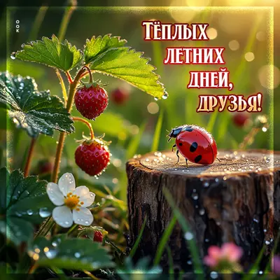 Postcard открытка теплых летних дней, друзья