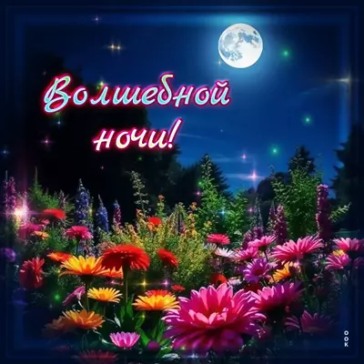 Postcard открытка волшебной летней ночи