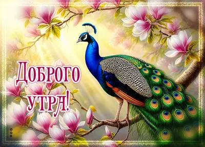 Postcard открытка вот и наступило чудное утро